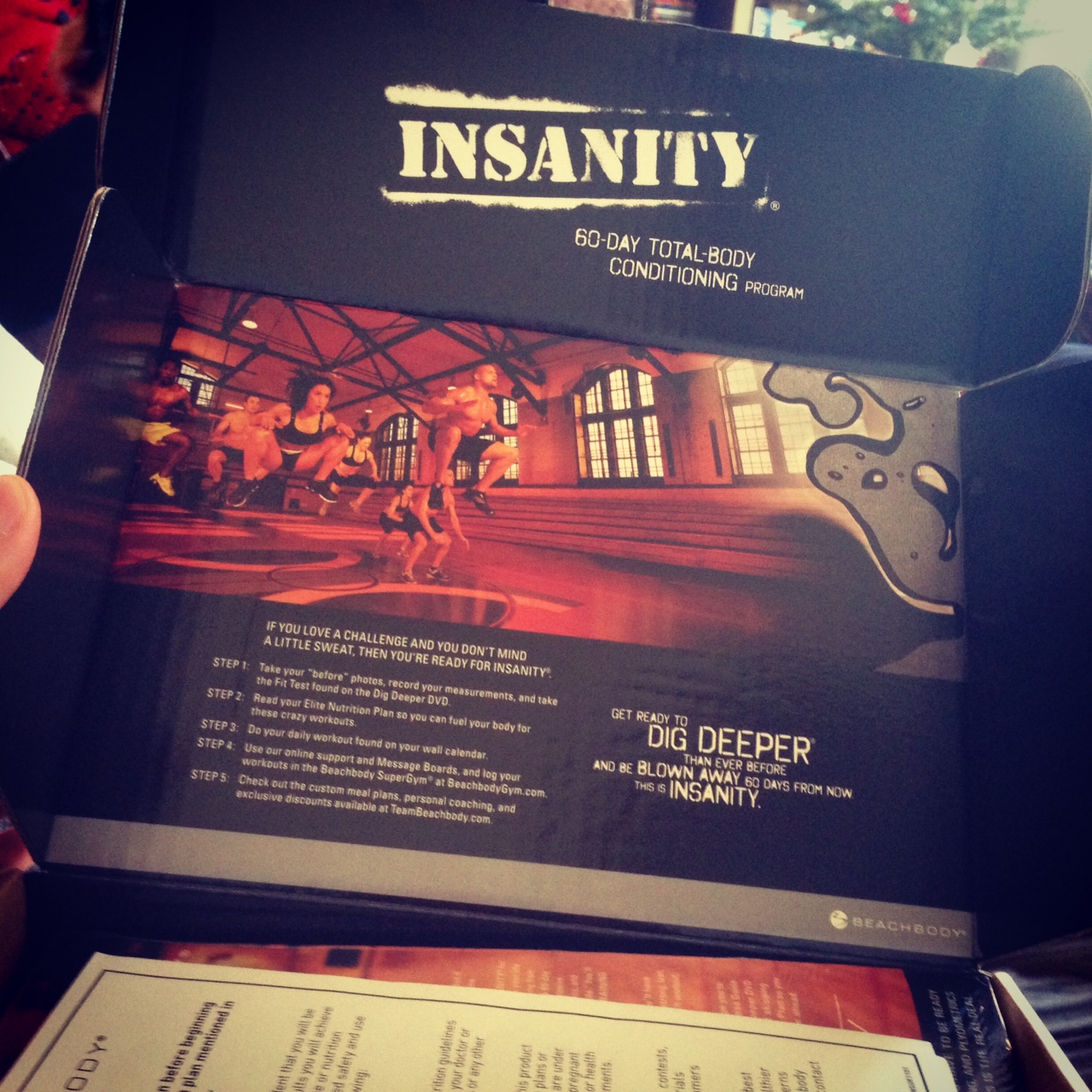 Insanity DVD Box